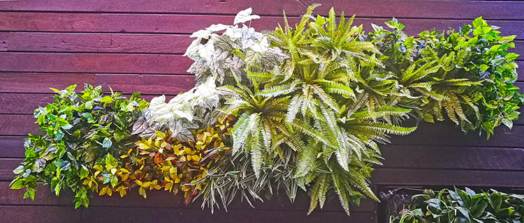 Artificial Green Walls in Shopping Mall image 5